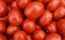 De la peau de tomate pour habiller les conserves