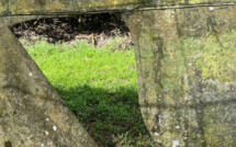 Nouveau vol de vanille à Taha'a, les tāvana montent au créneau