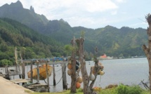 Rapa : des vents violents provoquent quelques dégâts