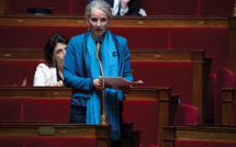 Présidentielle: Delphine Batho candidate à la primaire des écologistes