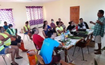 ​La formation agricole cartonne à Taha'a