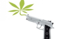 La ville de Mexico ouvre le débat sur la légalisation du cannabis