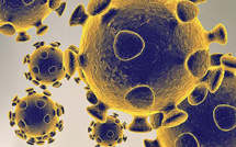 Quatrième vague et variant Delta: tsunami à l'hôpital ou simple marée des cas?