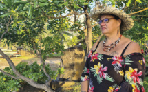 ​Les "papillons" demandent le carnet rouge