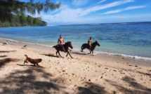 Les chevaux acteurs des festivités du 14-Juillet