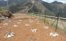 Calédonie: production de nickel suspendue à Koniambo à cause d'un conflit social