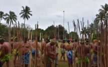 Les tū'aro mā'ohi passent entre les gouttes