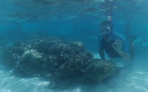 La préservation du lagon de Bora Bora, l'affaire de tous