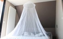 Des moustiquaires traitées avec de l'insecticide efficaces pour éradiquer la filariose