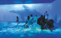 Te Fare Natura Moorea, l'écomusée grandeur nature