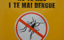 Progression de la dengue en Polynésie : un cas suspect sur deux est confirmé