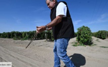 Dans les vergers desséchés de Californie, un sourcier à la recherche de l'or bleu