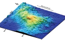 Tamu : le plus grand volcan du monde est sous le Pacifique