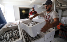 En Méditerranée, les chalutiers inquiets face à la baisse du nombre de jours de pêche