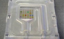 Un nez artificiel pour flairer les septicémies