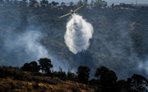 Le Portugal touché à son tour par un important feu de forêt