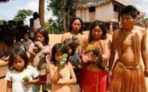 Des tablettes éducatives pour des indiens de l'Amazonie colombienne