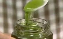 Du miel de couleur verte récolté par des apiculteurs isérois