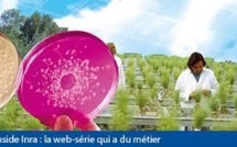 L'oenologie du futur à l'Inra: des vins techniques mais nature