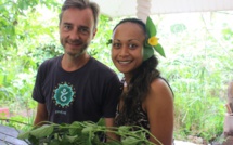 Un livre pour décrire 100 plantes utiles de Tahiti