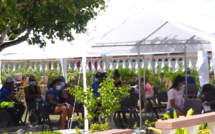 ​Rangiroa accélère sa vaccination