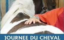Journée du Cheval : plus de 2.600 manifestations dimanche