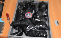 Saisie record d'ice : Nouvelles méthodes et gros résultats