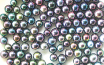 ​La perle en chute libre