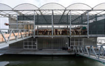 A Rotterdam, les vaches flottent sur l'eau pour protéger le climat