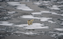 Aux abords du pôle Nord, la glace témoin et victime du réchauffement climatique