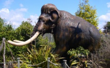 Une entreprise américaine se donne pour mission de recréer des mammouths laineux