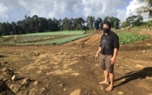 Trois pilleurs de fa'a'apu interpellés