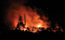 Les feux de l'été ont causé des émissions record de CO2, selon Copernicus