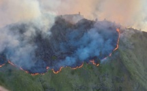 ​Incendie à Nuku Hiva : 400 hectares de forêt ravagés par les flammes