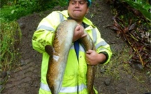 Marama Nui et le Criobe s’engagent sur un programme de recherche « Concilier hydroélectricité et préservation de la biodiversité en rivière »