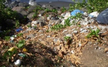 Rejoignez l'association « Te U’i Paruru Fenua » pour un ramassage de déchets au niveau de la baie de Papenoo le 12 octobre