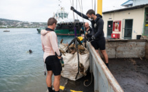 14 mètres cube de déchets sortis du port et de la base navale