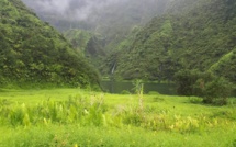 ​La piste du lac Vaihiria au tunnel reliant la Papenoo fermée pour travaux