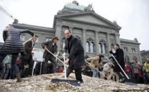 Une idée de poids : 8 millions de pièces de monnaie devant le Parlement suisse