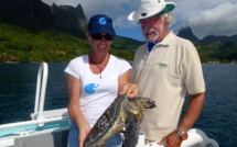 Une jeune tortue imbriquée relâchée par Jean Michel Cousteau