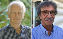 Géopolitique du Pacifique : "La France a encore des cartes à jouer"