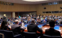 Fritch et Brotherson à l'ONU