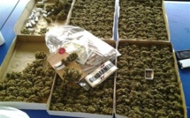 Paka family connection : des peines de deux ans de prison avec sursis prononcées