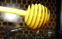 Miel: pas d'effet miracle pour prévenir l'infection chez des dialysés