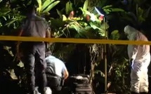 Mataiea : Le corps sans vie d'un jeune homme, dans un caniveau