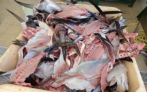 Une unité pilote de valorisation de déchets de poissons à Fare Ute