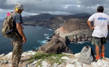 Des drones contre les rats aux Marquises