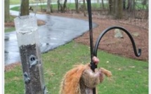 Affaire Caisse d'Epargne : Le besoin de faire du buzz va-t-il généraliser le mauvais goût ?