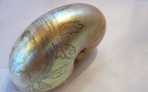 La gravure sur coquillages,l'art oublié des bagnards de Nouvelle-Calédonie