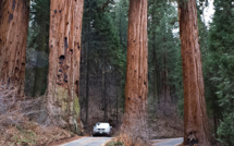 La mort mystérieuse d'une famille californienne due à la chaleur